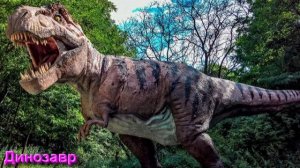 Ответы на Вопросы по Мистике от 01.07.26