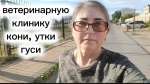 Повторная операция у Маришки красивые Кони и много позитивных эмоций