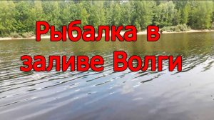 Короткая рыбалка в заливе Волги.