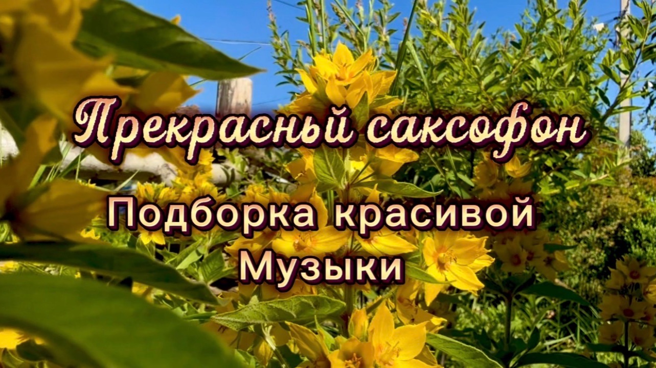 Прекрасный саксофон, подборка красивой инструментальной музыки