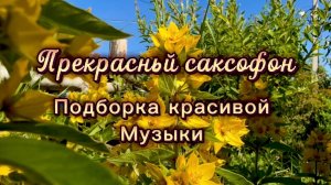 Прекрасный саксофон, подборка красивой инструментальной музыки