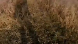 Российский боец принял на себя удар дрона, чтобы спасти пять мирных жителей

Рядовой Гура отвлек укр