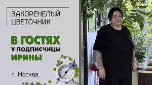В гостях у Ирины. г. Москва. Новая жизнь - новые и старые растения. Что изменилось за четыре года.