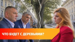 Спилить нельзя оставить: горожане и мэрия Уфы ищут компромисс по деревьям на улице Советской