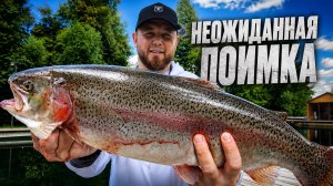#61 ТАКОЙ ПОИМКИ НЕ ОЖИДАЛ.РК КУТУЗОВО.РЫБАЛКА НА ФОРЕЛЬ.