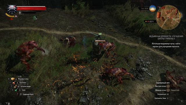 The Witcher 3 Wild Hunt #35. Деревня Стежки Экимма.