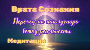 Врата Сознания. Переход на наилучшую ветку реальности Медитация #вратасознания #новаяветкареальности
