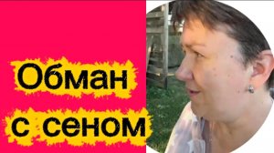Сколько вранья!!!!