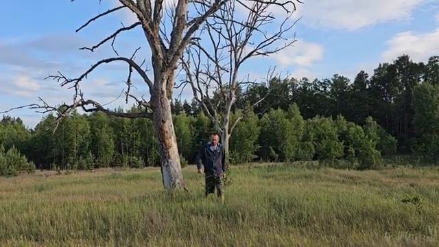 Мебель на хутор из остатков стройки сруба Купил заброшку Строим каркас дровника смотреть онлайн