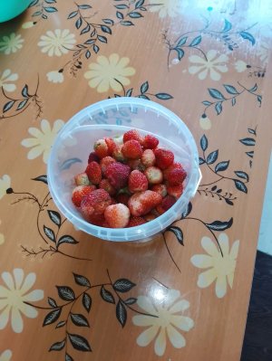 Лиза