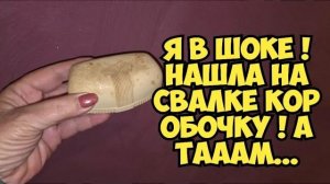Элла Австралия. Я в шоке ! Нашла на свалке коробочку . А ТАААМ ... Это надо видеть ! Не мусорка а юв