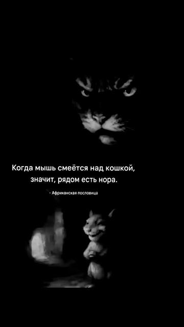 статусы #статусы смотреть онлайн