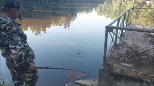 Утренний обзор с нижнего водоёма. Клёвое место, Лосиный остров.