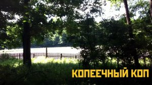 Копеечный коп или поиск монет в лесу...