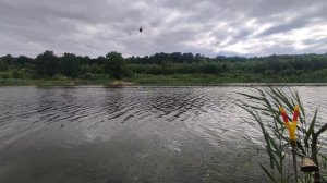 🐠 ФИШТУР с семьёй, д  «Хмелево», Брянская область.