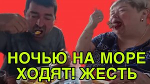 ПРИЕХАЛИ НА МОРЕ ЖРАТЬ. ОЛЬГА УРАЛОЧКА LIVE. ОБЗОР.