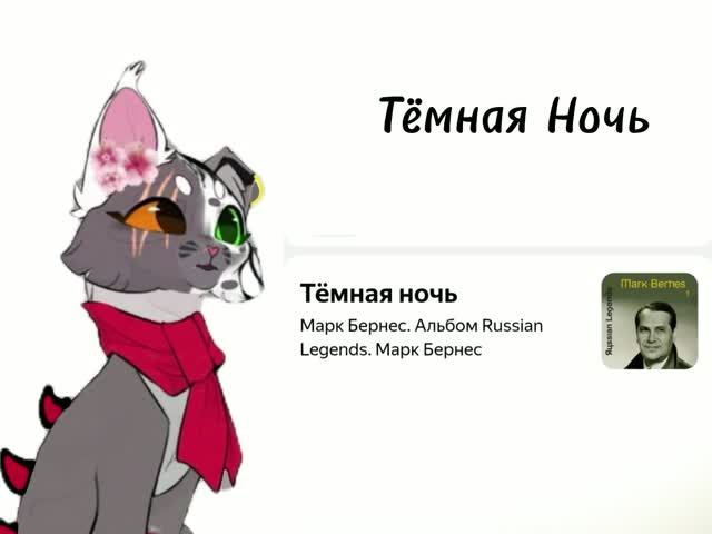 Вылетаю из реста. Новая рубрика. Кого во 2 часть? Тёмная Ночь 200