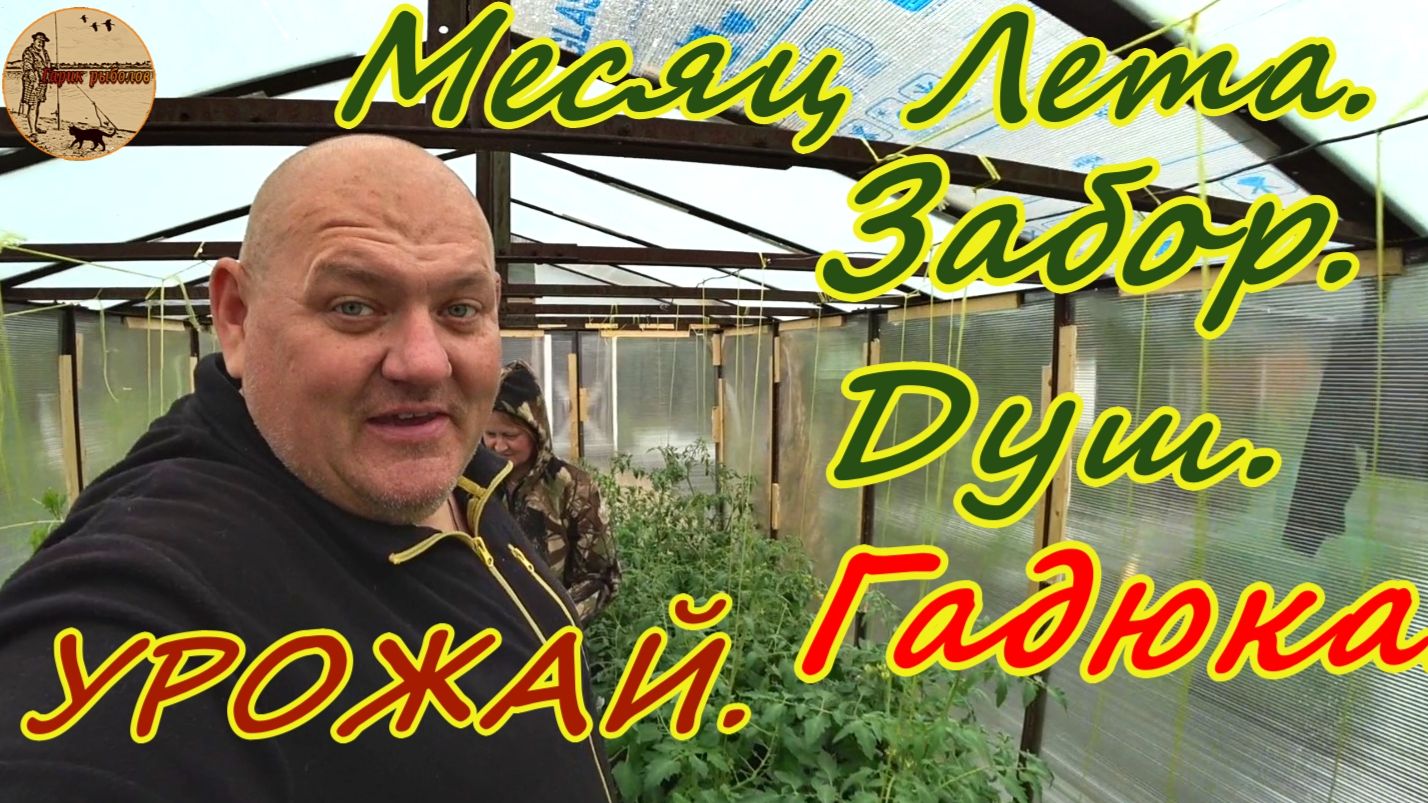 Дача 20 серия.Месяц лета прошёл.Забор, Душ, Гадюки,Урожай.#дача .#стройка  .#участок .#лес .#огород