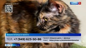 Возьми питомца из приюта
