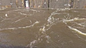 Портал в Рыбинское водохранилище