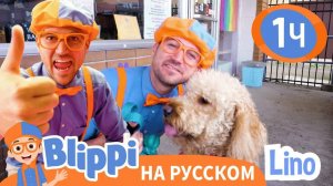Песня Мы Заботимся О Домашних Животных_ Обучающие видео для детей _ Blippi Russian