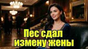 Жена не знала, что в ошейнике GPS! История измен|Аудио рассказы|Истории из жизнИ