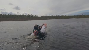 Шторм на озере унёс наш дом на воде