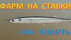 Открыл СТАВКИ - КАК ЛОВИТЬ и ГДЕ ?