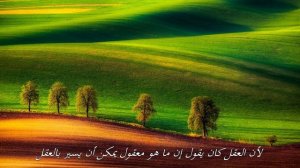 العرب