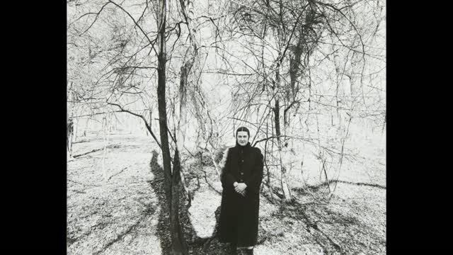 Знакомство с творчеством Harry Callahan