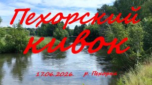 Пехорский кивок.17.06.2026. река Пехорка. пос. Красково. Рыбалка в Московской области.