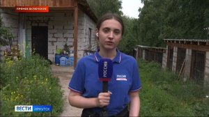 Прямое включение: коммунальная проблема в приюте для бездомных животных в деревне Столбова