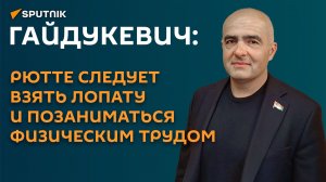 Гайдукевич: Рютте следует взять лопату и позаниматься физическим трудом
