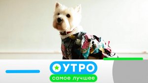 «Утро. Самое лучшее»: 1 июля 2026 года