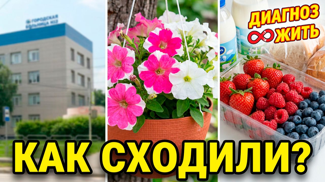 СХОДИЛИ В ПОЛИКЛИНИКУ | НАШИ ЦВЕТОЧКИ | СХОДИЛИ В МАГАЗИН смотреть онлайн