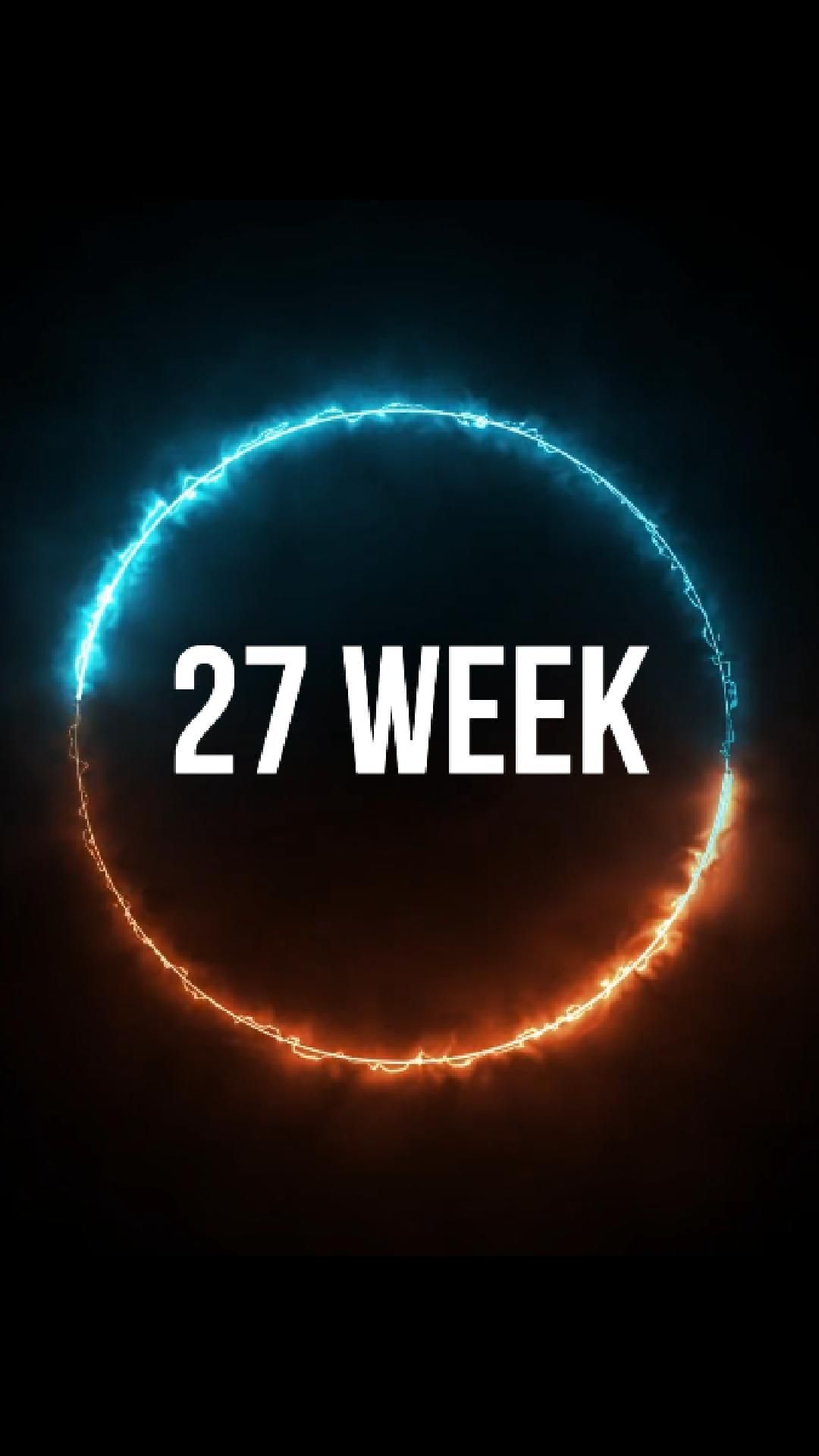 27 week /26