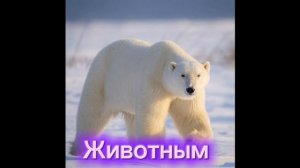 #Гача