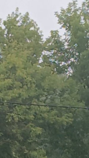 Под шум дождя приятно ВСПОМИНАТЬ...