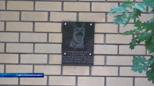 День кинологических подразделений МВД России