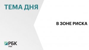 В Стерлитамаке ущерб от IT-преступлений превысил ₽120 млн