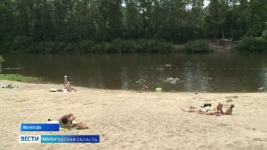 Жаркая пора: как жители Вологды предпочитают проводить лето