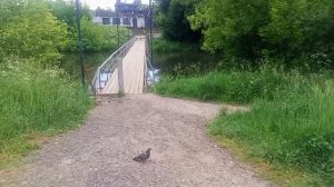 Знаменитая река Клязьма и подмосковная Карелия .
