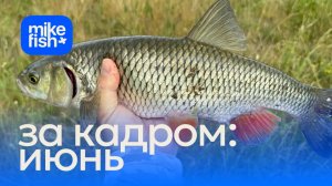 За кадром: рыбалки в июне 2026
