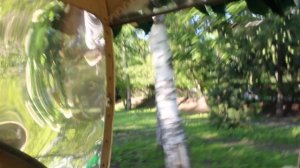 14. Из кареты (1)