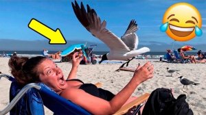 Приколы с животными🤗 Смешные видео про животных 🤗СМЕШНОЕ ВИДЕО😍 Наши любимые смешные животные