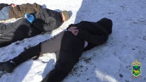 В Приморье за попытку вывезти из России живых крабов на 5 млн рублей осудят двух контрабандистов