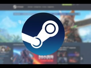 Не запускается стим. Windows 11 решение. Steam does not launch. Win11 solution