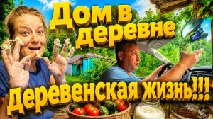 ДОМ В ДЕРЕВНЕ | ДЕРЕВЕНСКАЯ ЖИЗНЬ | Подсобное хозяйство