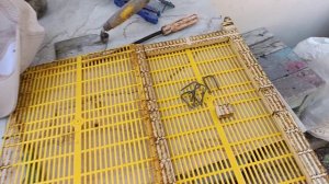 Изоляция матки 21 день, роевая семья пчел, что с медом.