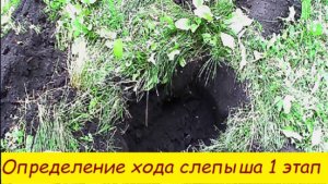 Определение хода слепыша 1 этап